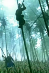 House of Flying Daggers